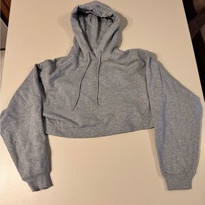 Alo Bae Hoodie Sz Small Grey